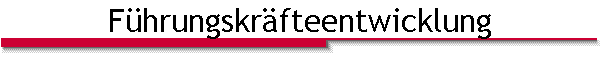 F�hrungskr�fteentwicklung