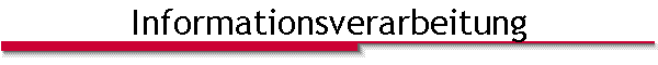 Informationsverarbeitung