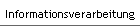 Informationsverarbeitung