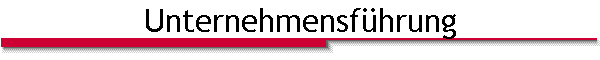 Unternehmensf�hrung
